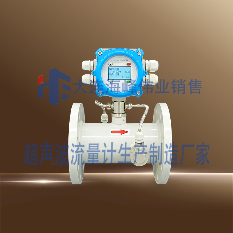 电池供电IP68型一体管段式超声波流量计
