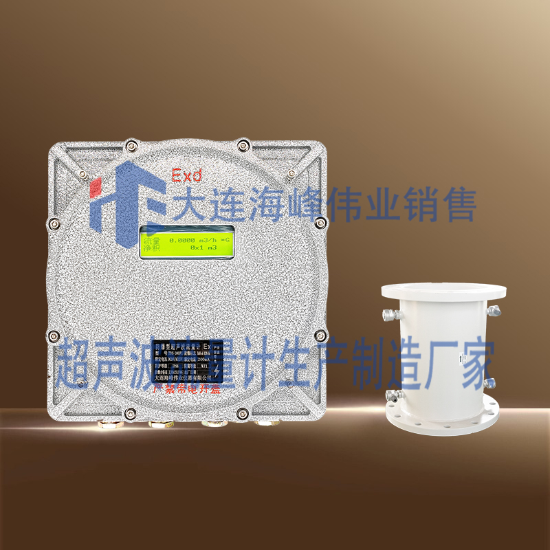 双声道防爆CT6超声波流量计管段式