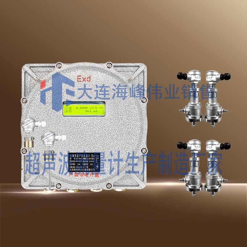 双声道防爆CT6超声波热量表插入式