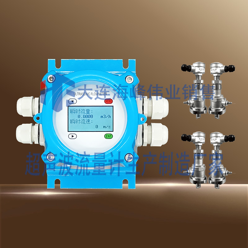 双声道电池供电IP68型超声波流量计插入式