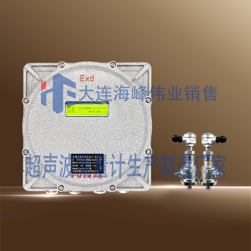 防爆CT6插入式超声波流量计