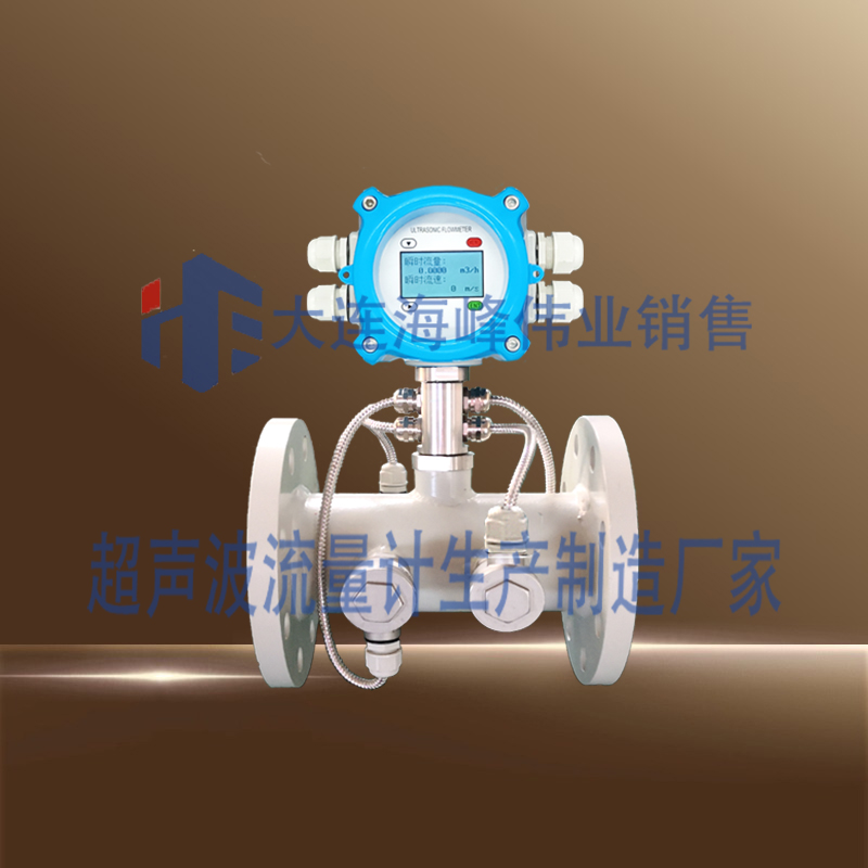 双声道电池供电IP68型一体管段式