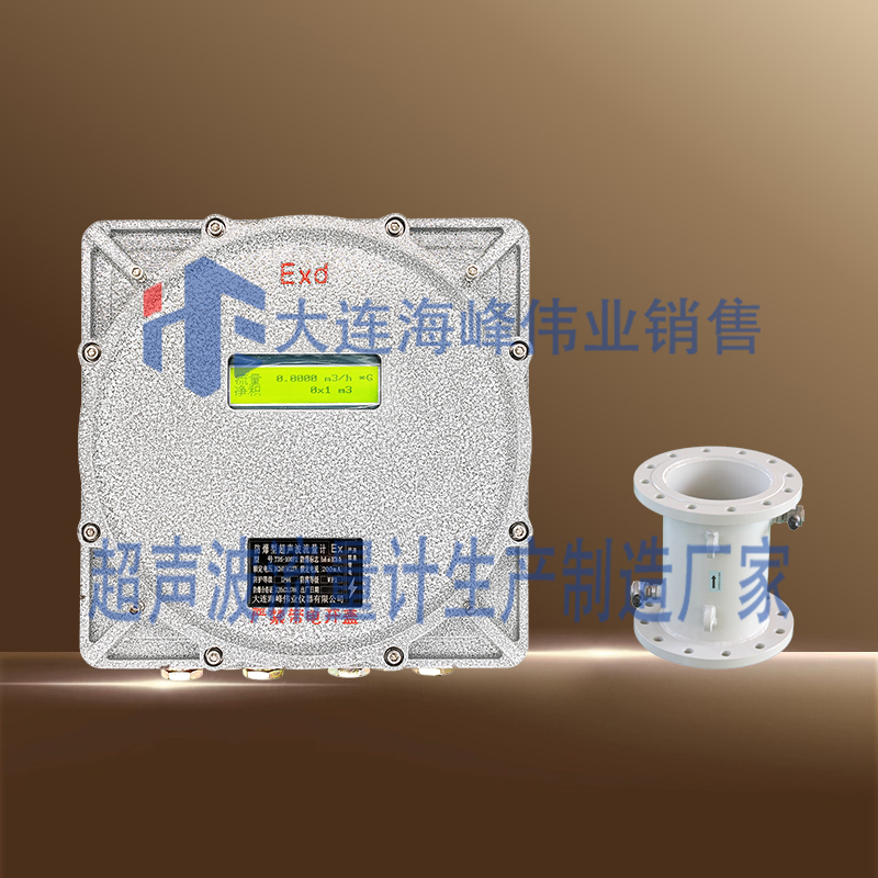 防爆CT6管段式超声波流量计