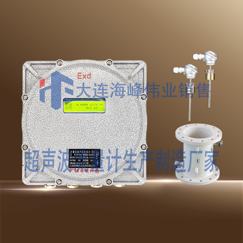 单声道防爆CT6超声波热量表管段式