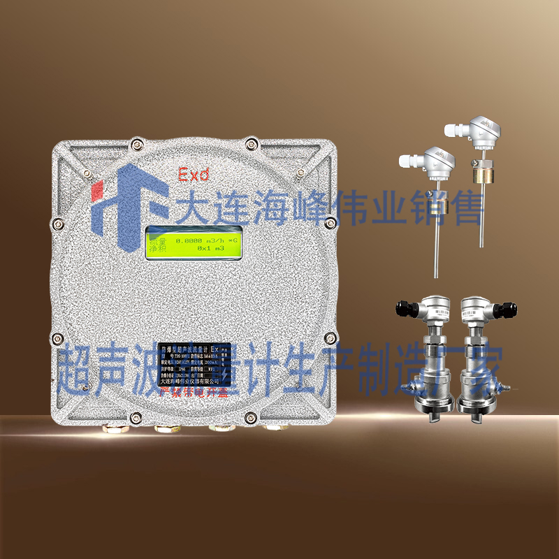 单声道防爆CT6超声波热量表插入式