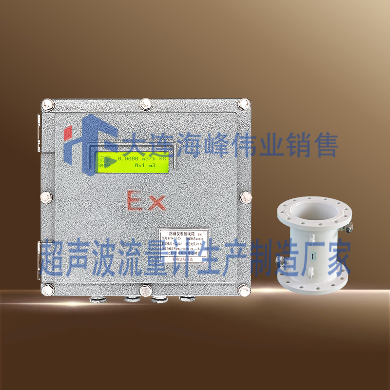 防爆BT6管段式超声波流量计