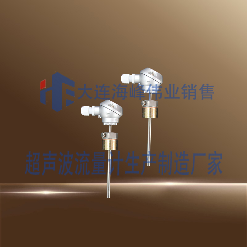 插入铂电阻