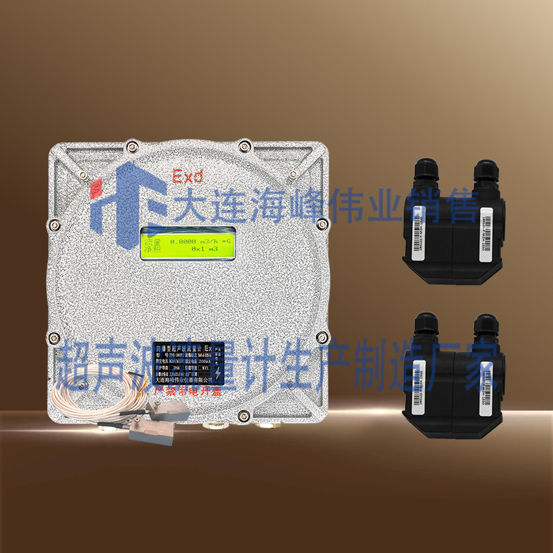 双声道防爆CT6超声波热量表外夹式