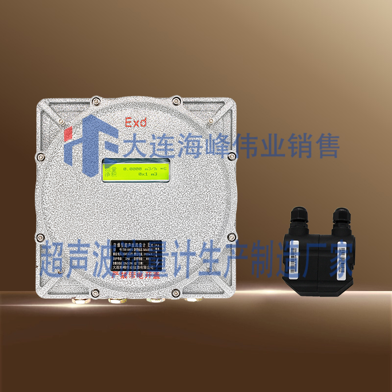 防爆CT6外夹式超声波流量计