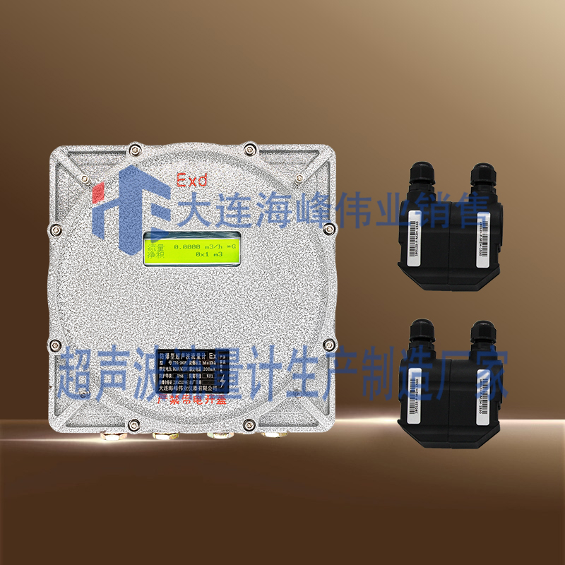 双声道防爆CT6超声波流量计外夹式