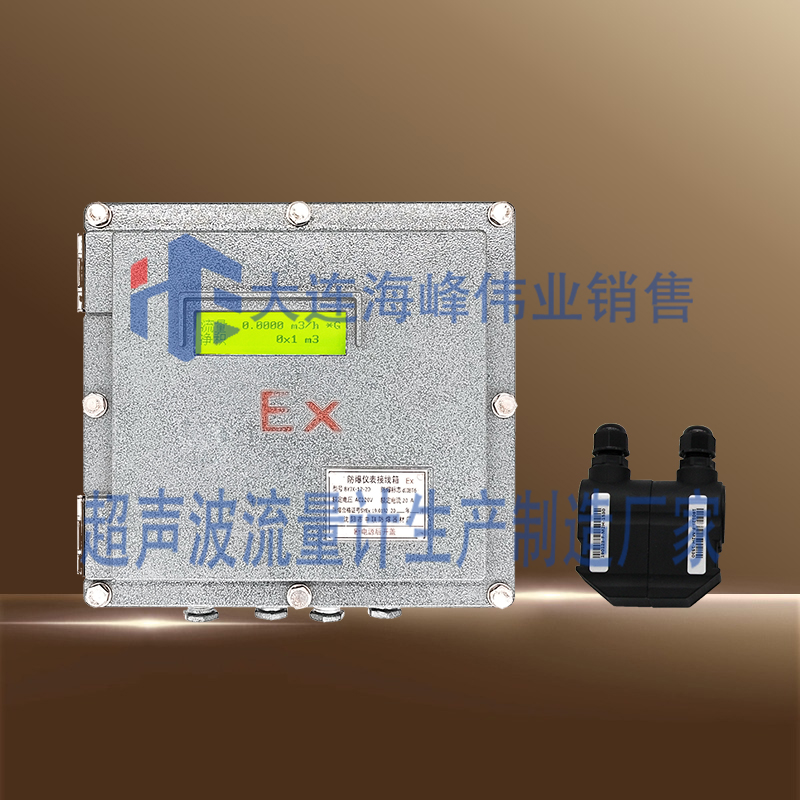 防爆BT6外夹式超声波流量计