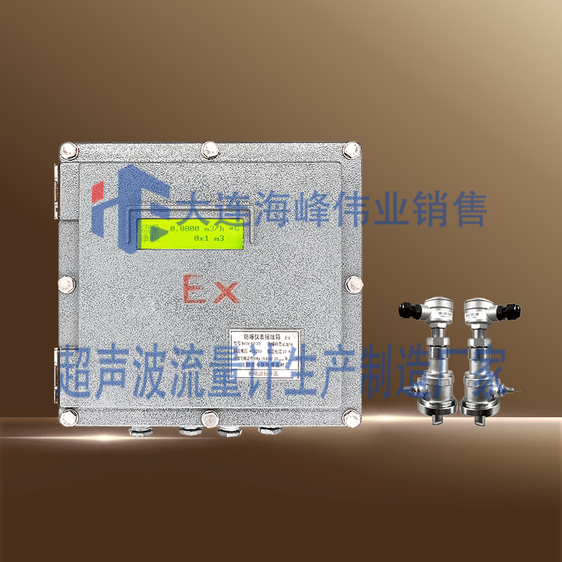 防爆BT6插入式超声波流量计