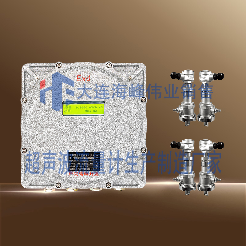 双声道防爆CT6超声波流量计插入式