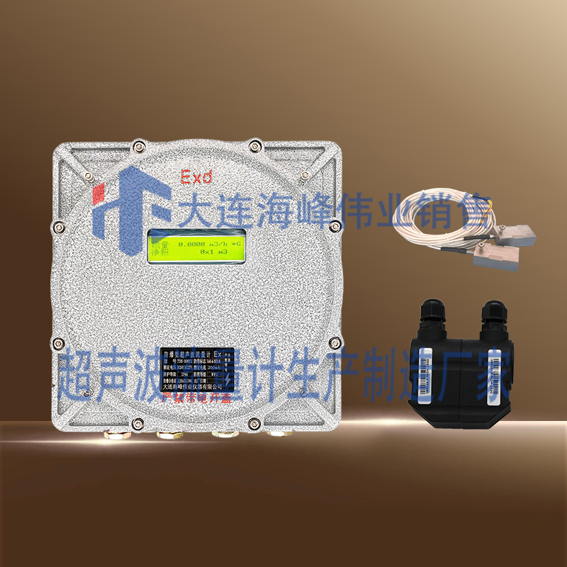单声道防爆CT6超声波热量表外夹式